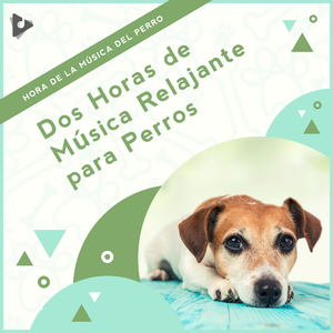Música pacífica con olas del mar