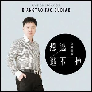 想逃逃不掉（DJ）