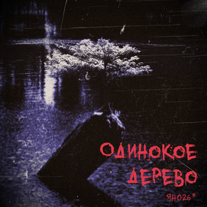 Одинокое Дерево