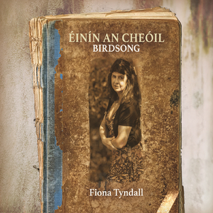 Ar Eirinn Ní Neosfainn Cé Hí (feat. Tim Edey & Brendan Hayes)