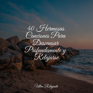 Hermoso Descanso Nocturno