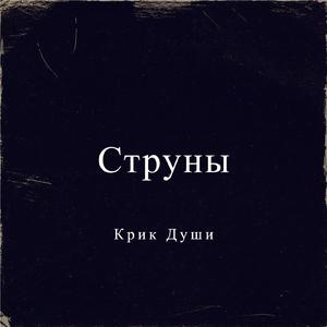 Струны