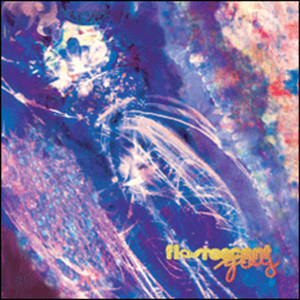 Chrono-Synclastic Infundibulum