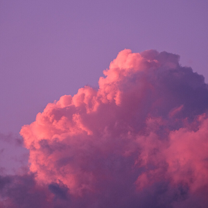 [Free] "你和我终究会死去" Trap Type Beat