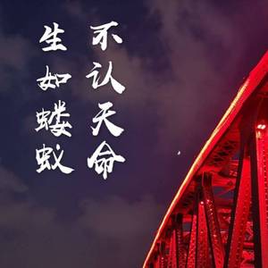 王大叔又杀了一只小蚂蚁