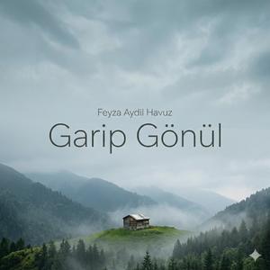 Garip Gönül