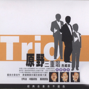 夏日最后的玫瑰