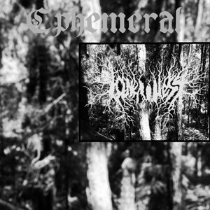 Colgando de Mi Destino