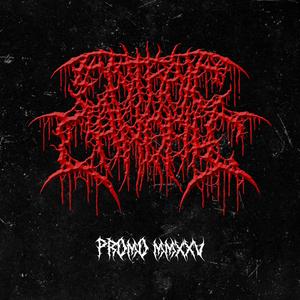 Trainwreck Facelift