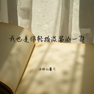 我也是你轻描淡写的一页