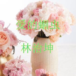 爱的蛔虫 伴奏