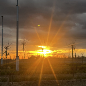 Summer Time (夏天)