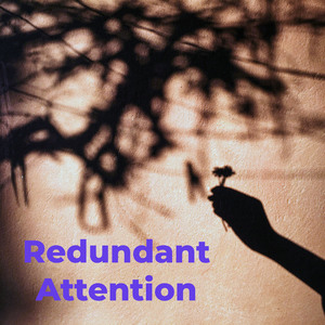 Redundant Attention