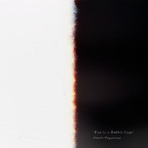 Fox in a Rabbit Cage