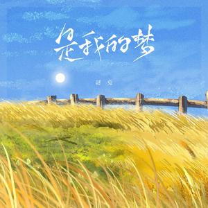 是我的梦 (伴奏)
