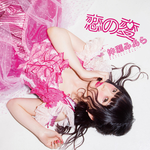 ビターチョコレートシュガーフルーツ