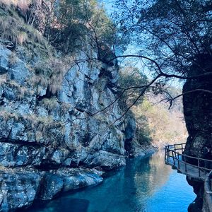 无名的人（Live）