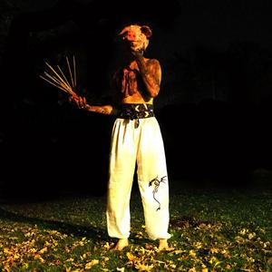 Pig Heart · Fire