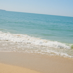 你来时我心如春风