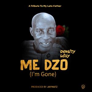 Medzo (I'm Gone)