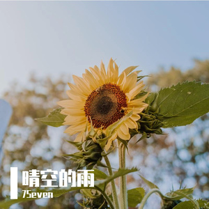 晴空的雨