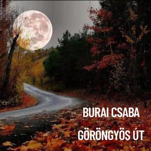 Göröngyös út