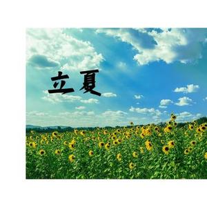 立夏 夏莓甜润