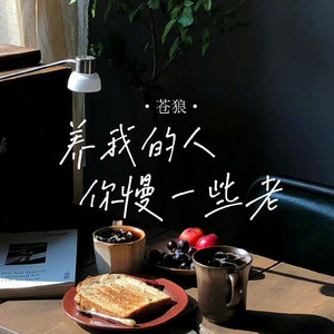 养我的人你慢一些老