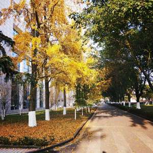 南昌路四段46号