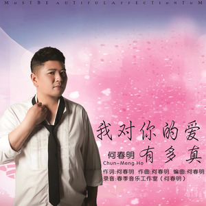 我对你的爱有多真（和声伴奏）