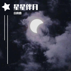 星星伴月