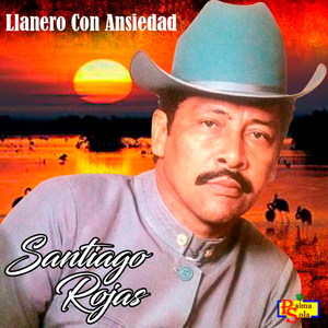 El avion derribado