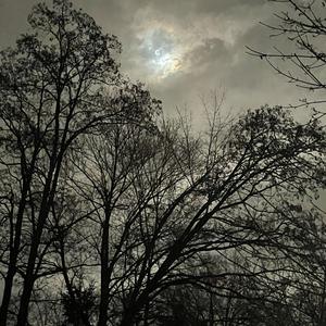 dag 1 (feat. legobygger123)