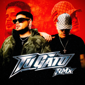 Tu Gato (RMX)