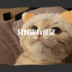 只对你有感觉