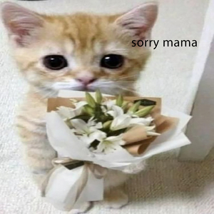 Sorry Mama