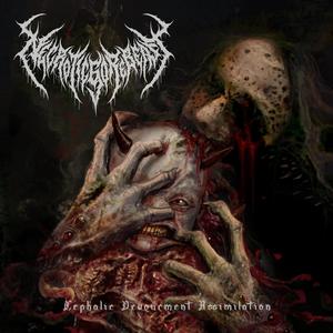 Cephalic Devourment Assimilation (feat. Dan Tucker)