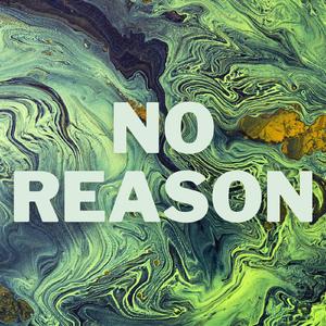 No Reason