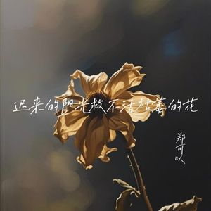 迟来的阳光救不活枯萎的花