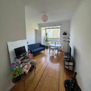 Némesis o el terror