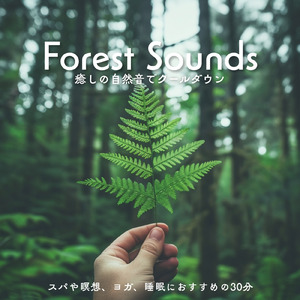 寝落ちをサポートする癒しの音色とδ波音楽 疲労回復とメンタル改善のヒーリングBGM (寝落ちのピアノの森)