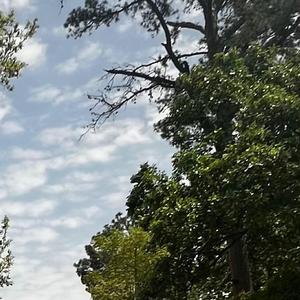 turn the page (feat. c4pri & trustt)