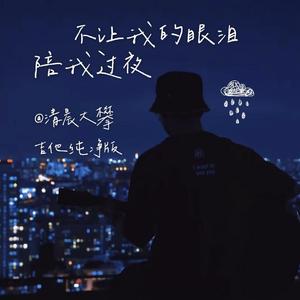 不让我的眼泪陪我过夜（吉他纯净版）