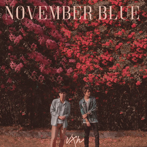 November Blue