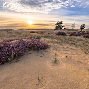 Echoes for Exploration