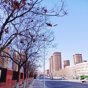 小棋童 cover 不纯君