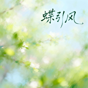 蝶引风