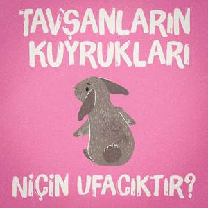 Tavşanların Kuyrukları Niçin Ufacıktır