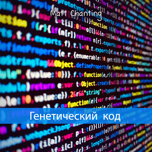 Бодрость весь день