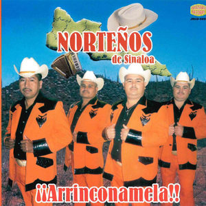 Arrinconamela